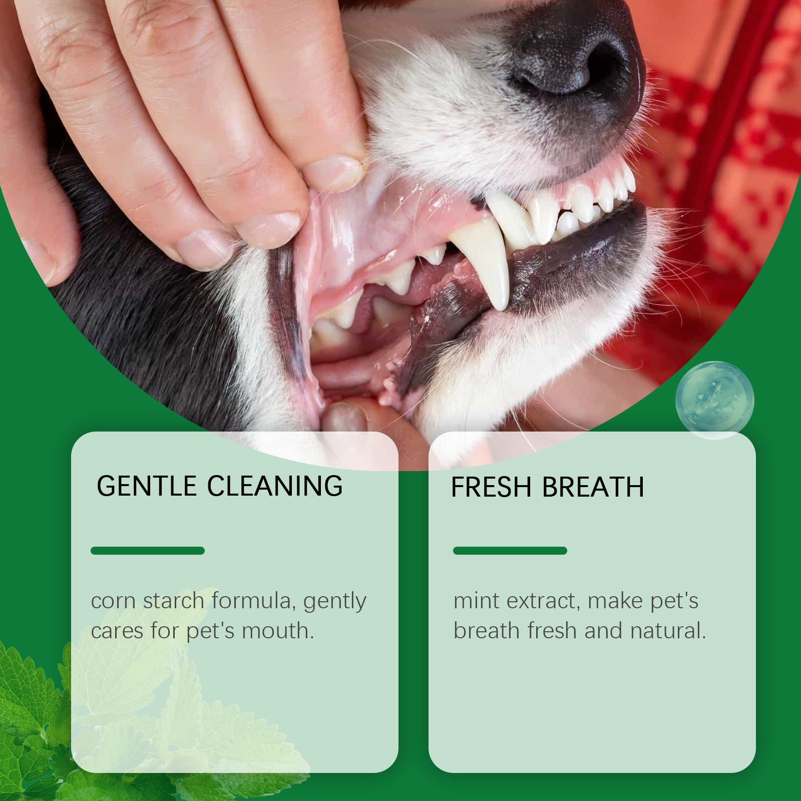 Pet Teeth Cleaning Powder Redu - огляд і ціна Teeth Whitening Lab