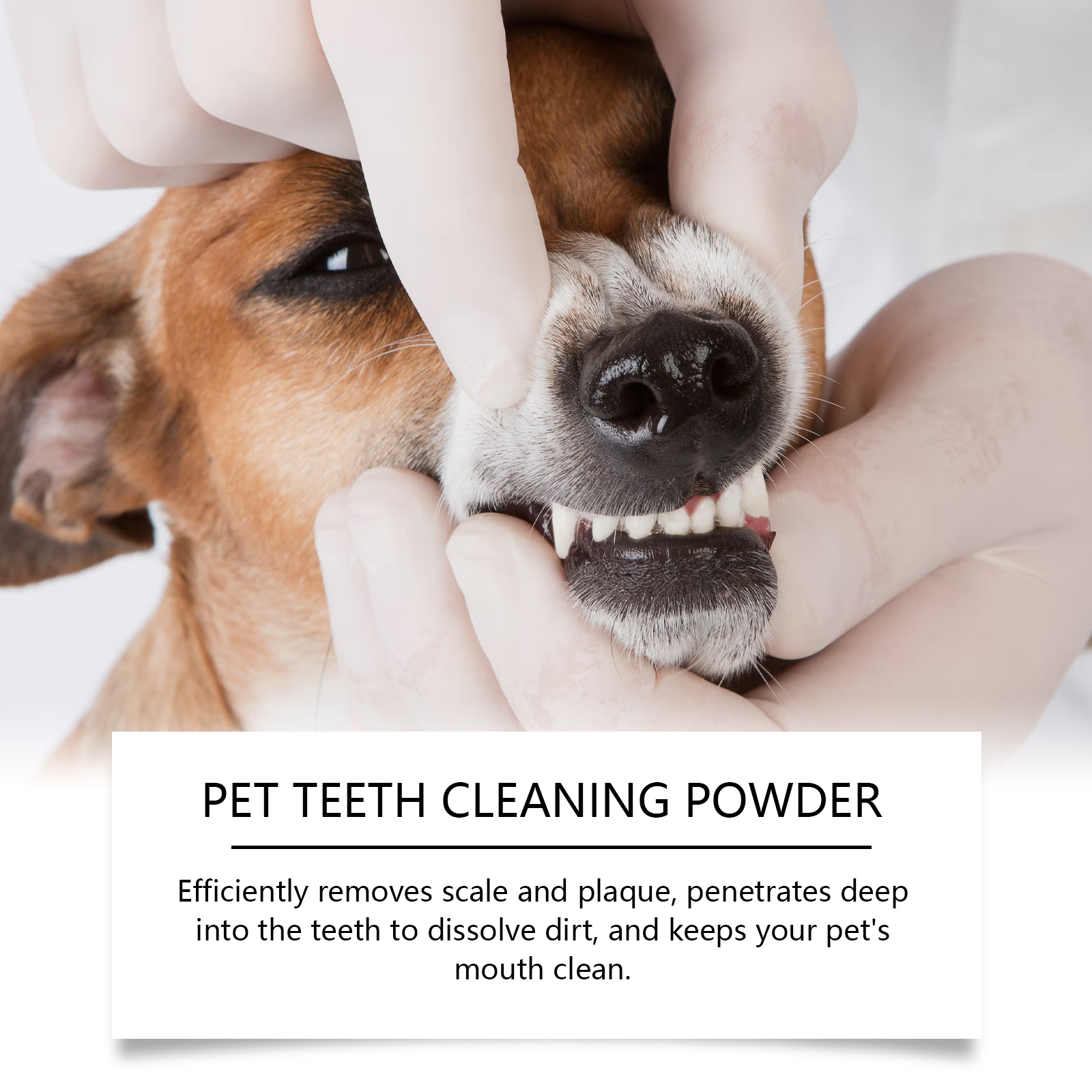 Pet Teeth Cleaning Powder Redu - огляд і ціна Teeth Whitening Lab